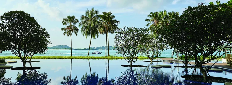 Cape Royale, photograph: the still infinity pool reflecting palms and trees, with the sea and the islands of the Singapore Strait beyond
